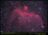 IC2177_Try_2_small_frame.jpg